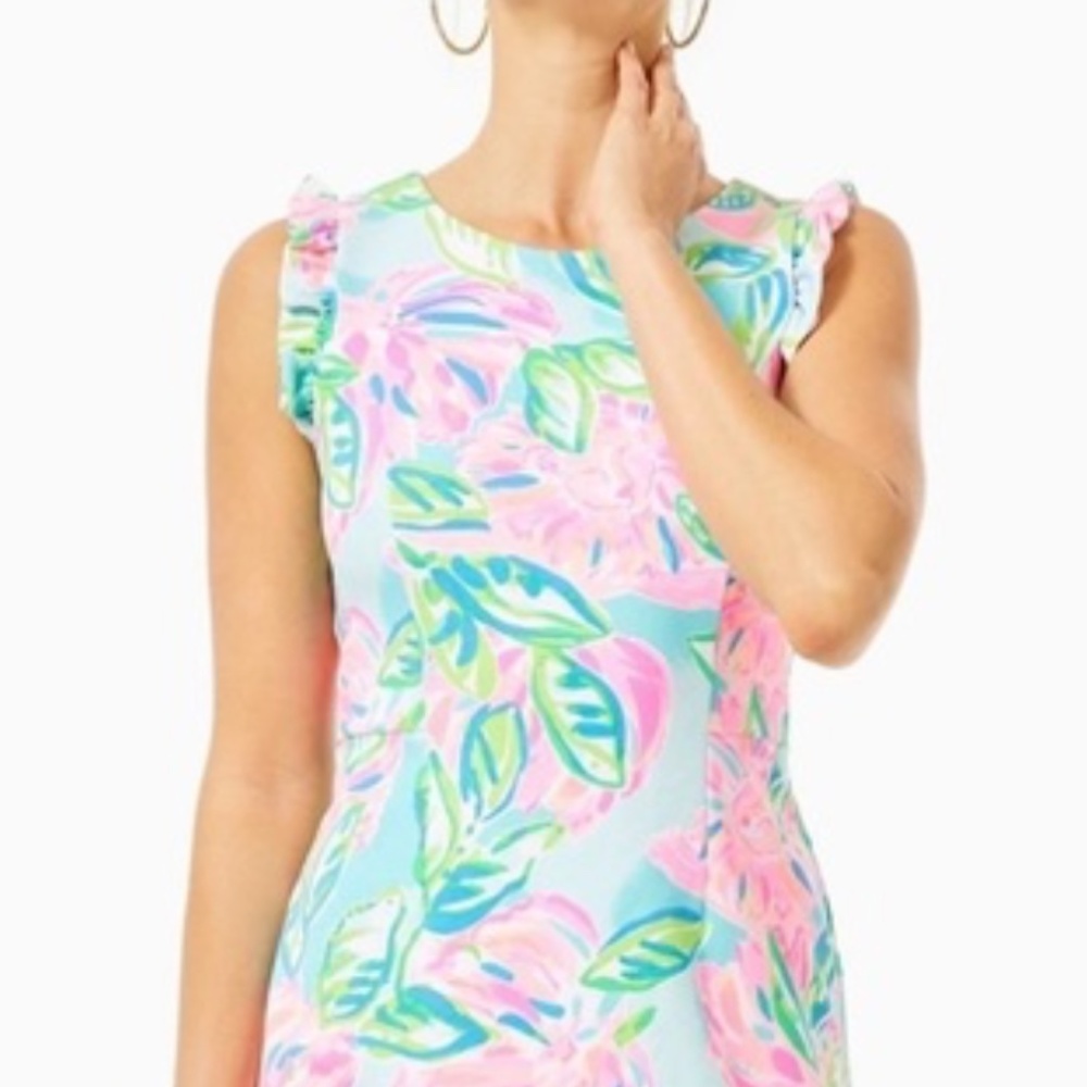 Lilly Carmelisa Shift NWOT